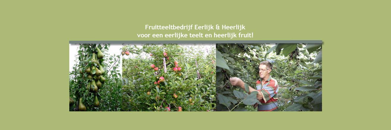 Beemsterfruit's profile banner image