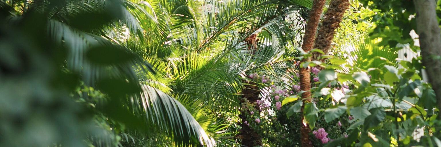 Loriley Sessions banner