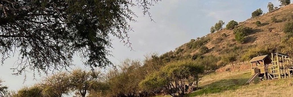 agus banner