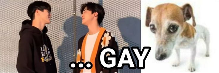 Lean||BOTHSIDES banner