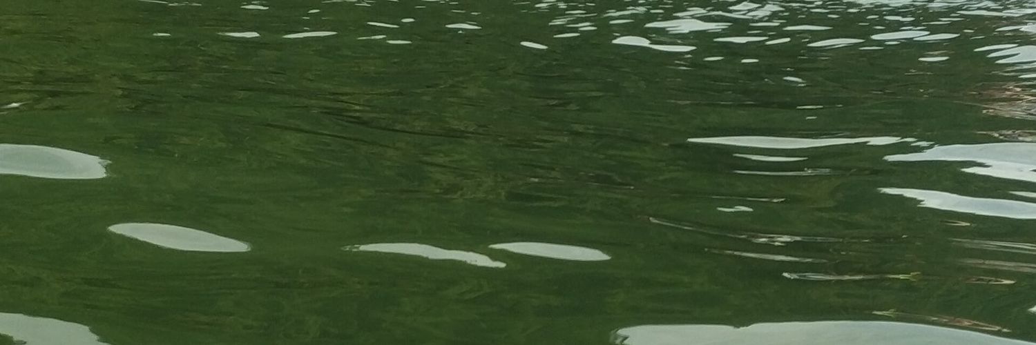 irisbezutte's profile banner image