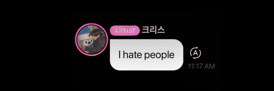 becca 𝄞 vai ver o skz banner