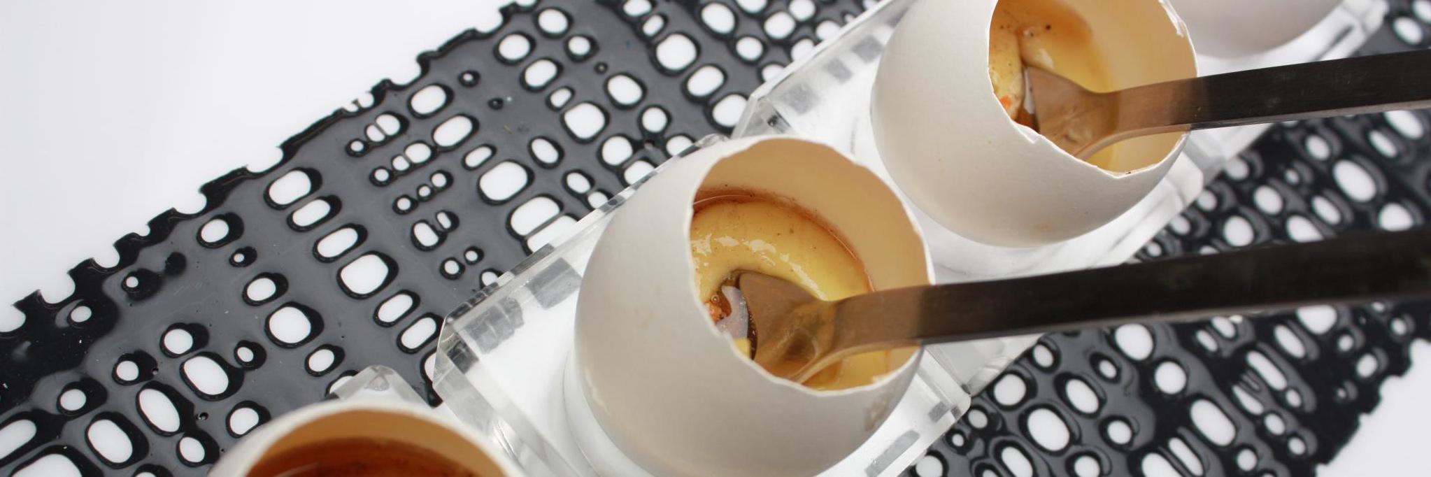 CreativeEdgeParties banner