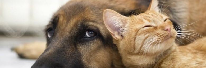 a_begeerte's profile banner image
