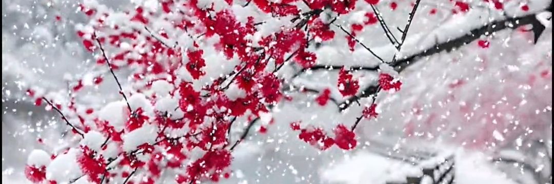 SantaX HotNews banner