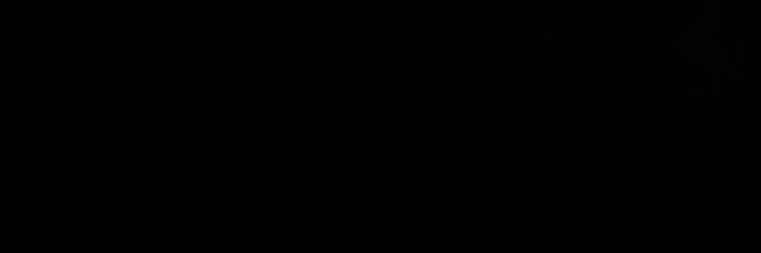 lleowisp's profile banner image
