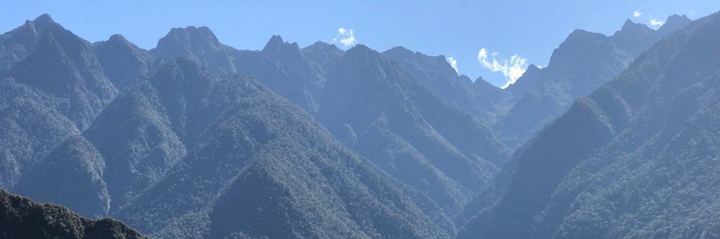 AleVekris's profile banner image