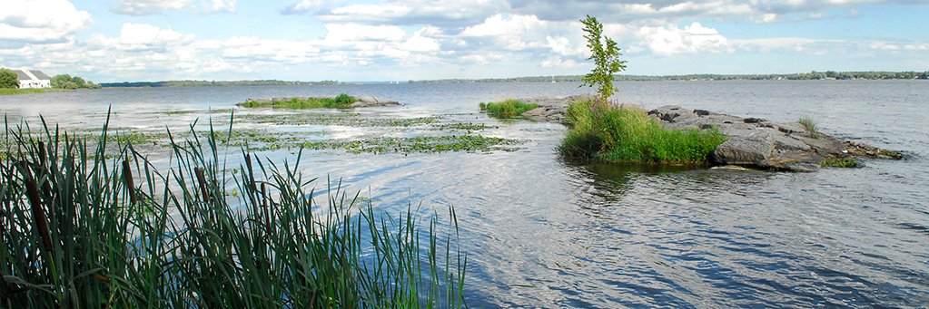 Bay of Quinte RAP banner