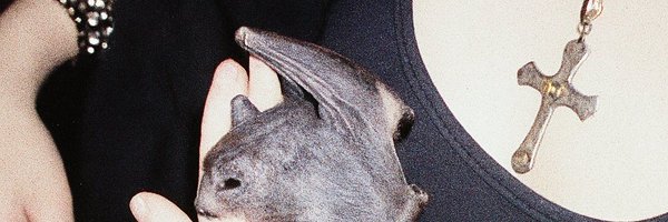 onuchasta Profile Banner