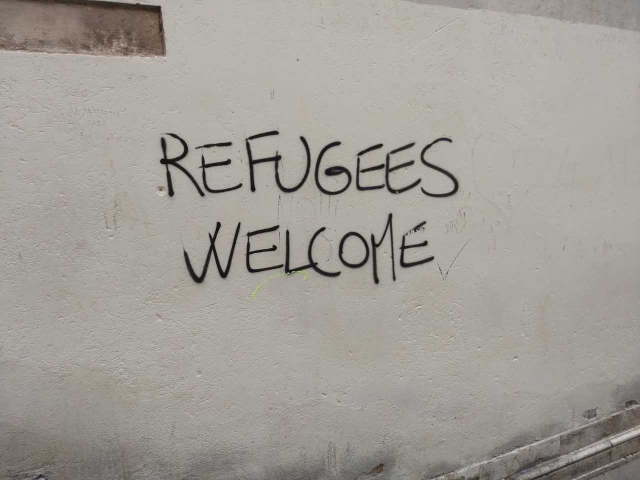 María José Lucesole banner