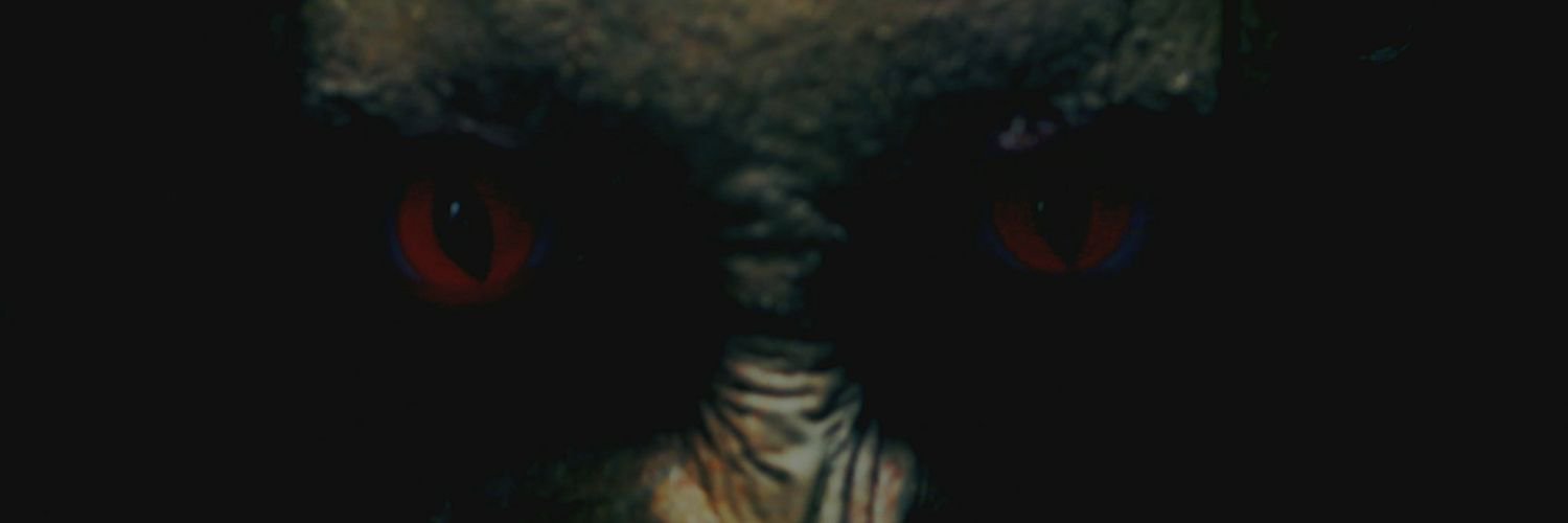 SethsPizzeria's profile banner image
