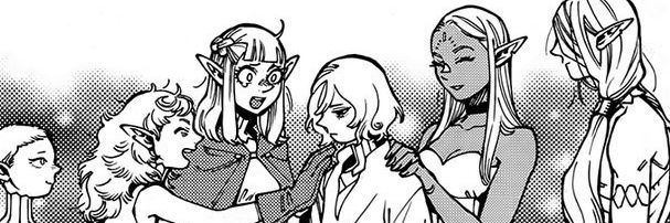 Fleki banner