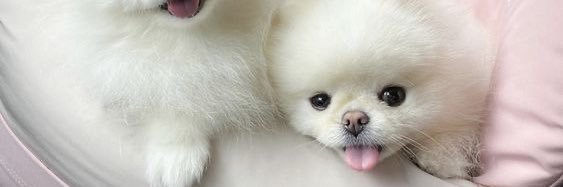 じん banner