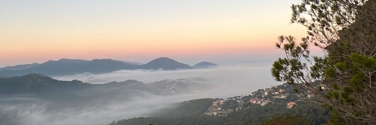candehr_'s profile banner image
