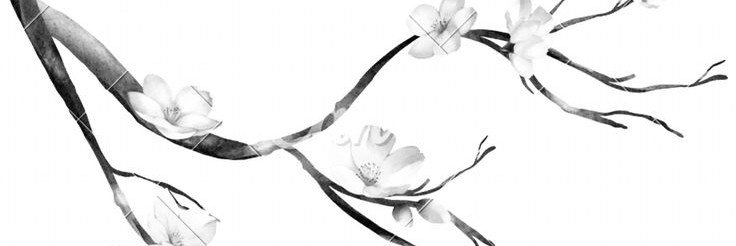Kirilipi's profile banner image
