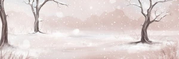 AkoArctic's profile banner image