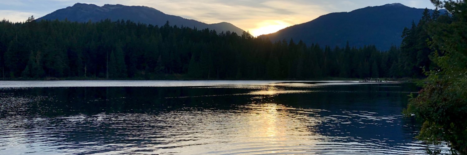 Fiona Burrows banner