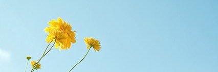 greentweeets's profile banner image