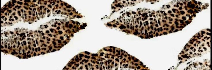 69longbottom's profile banner image
