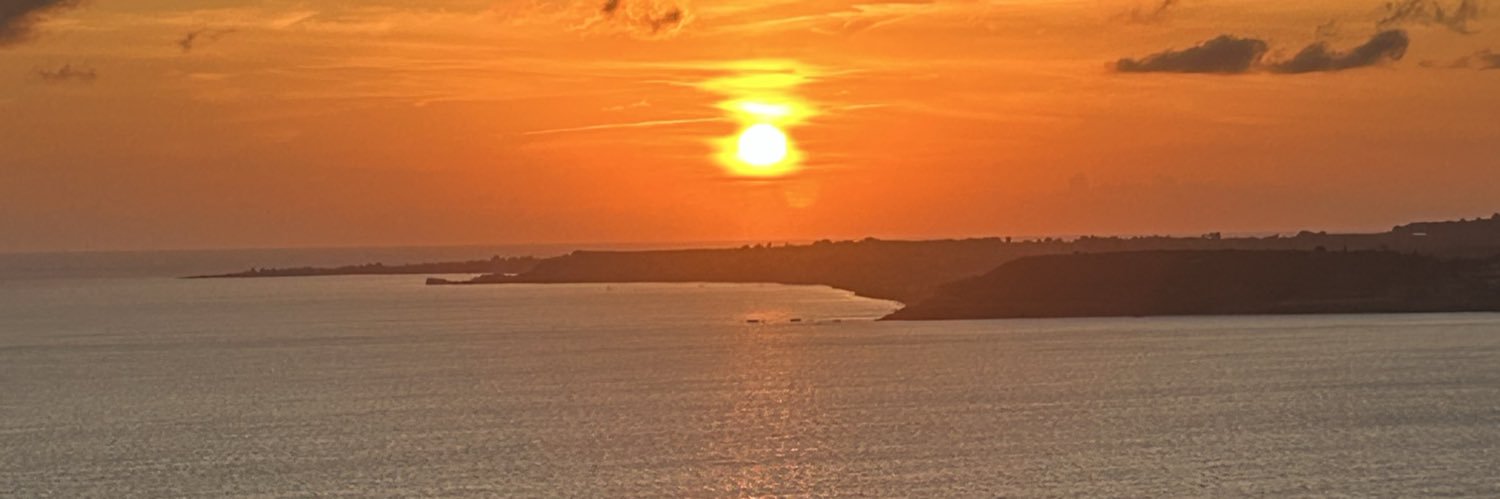 leetuffin's profile banner image