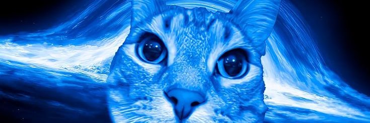 . banner