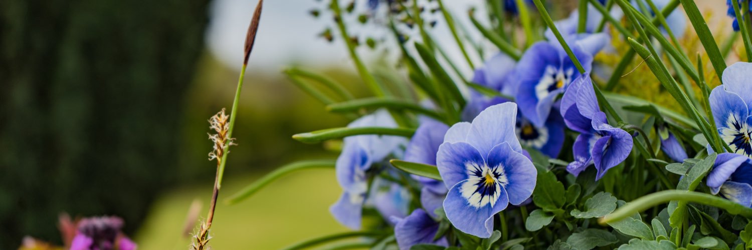 EmmChappers's profile banner image