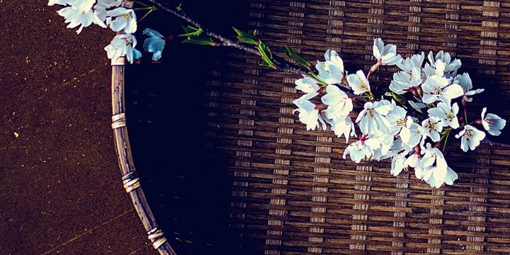 AniCmps's profile banner image