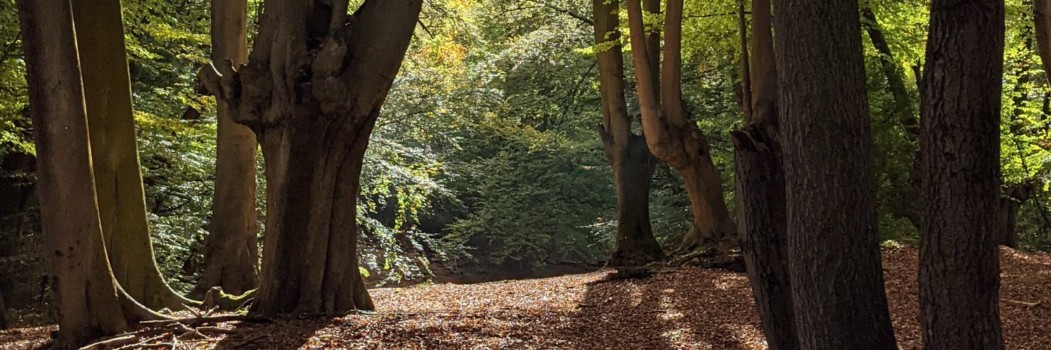 National Park City Mark banner