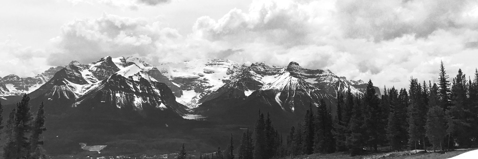 JenPTin's profile banner image