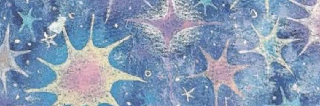 coco banner