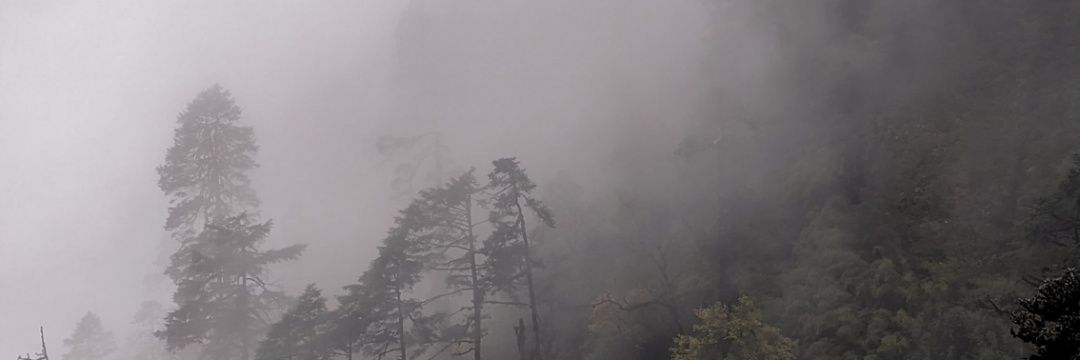 Lissa 🇺🇦🪐🐥 not o-fucking Alex banner