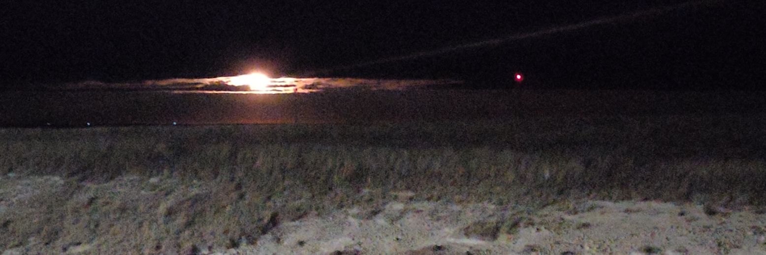 The Thing In Full banner