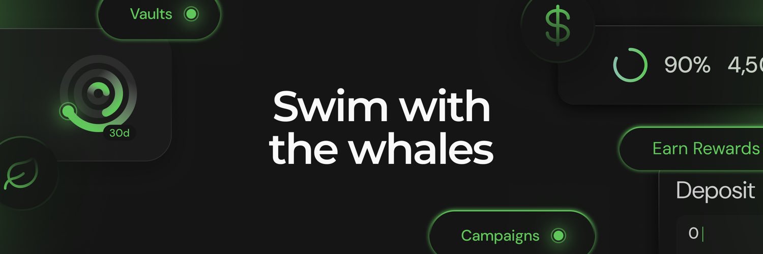 Turtle's banner