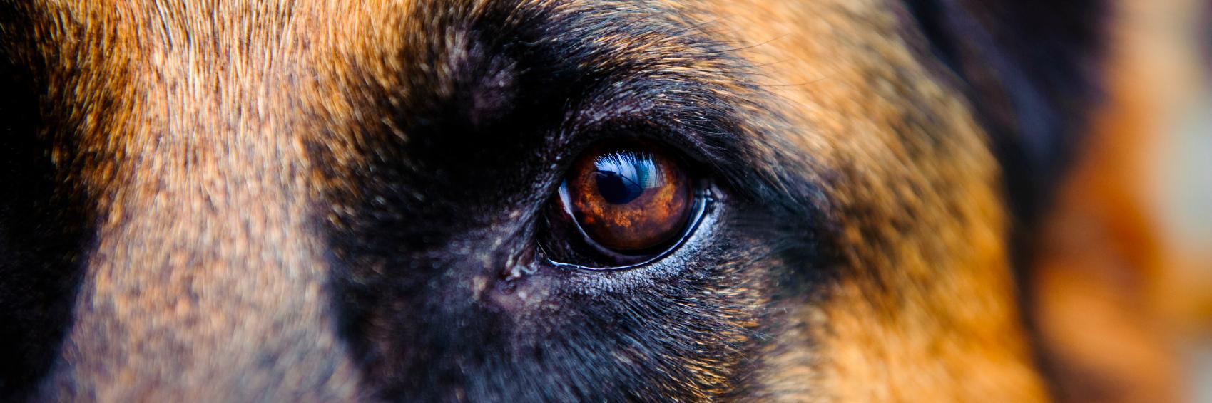 MTShep's profile banner image
