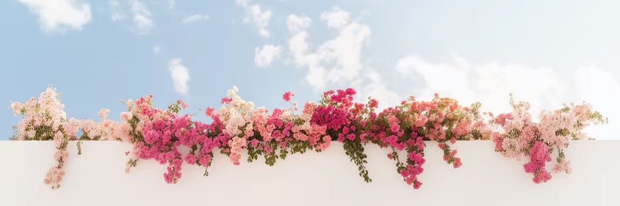 么一岙 banner