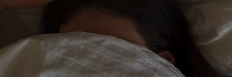 westtwind's profile banner image