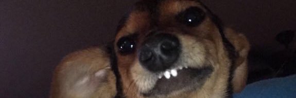 DeezCakezz's profile banner image