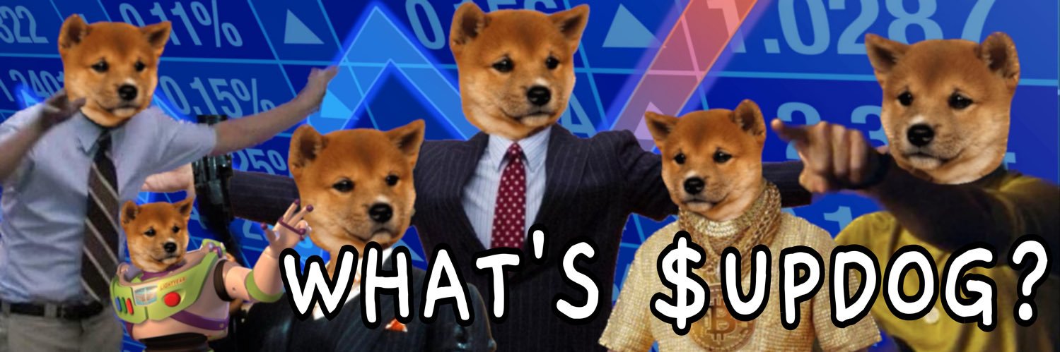 What’s Updog? banner