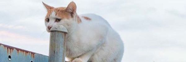 JOHN1KAIRO🇰🇪 banner