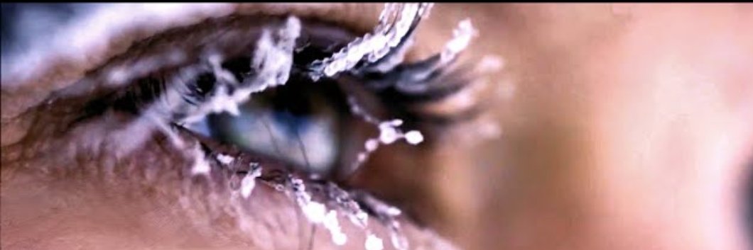 wildcryptox 🎯📈🕉️ banner