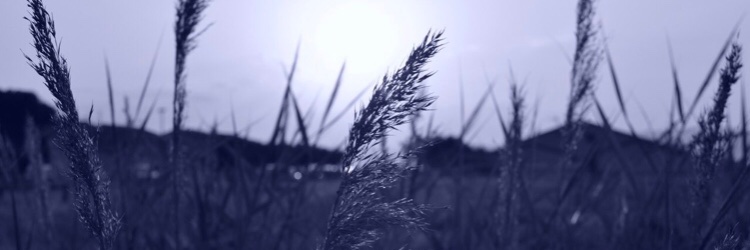 didichou03's profile banner image