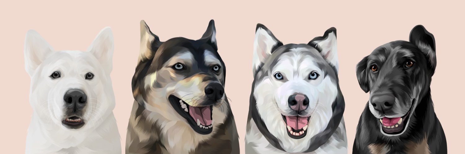 casr714's profile banner image