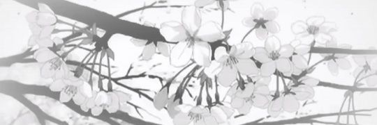 Flancitoconnata's profile banner image
