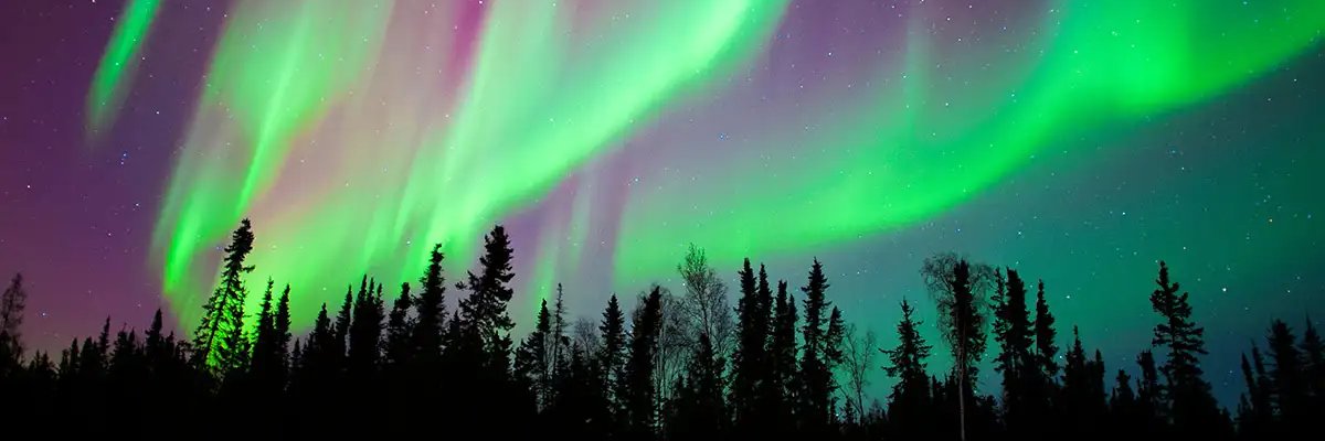 WildBlackYonder's profile banner image