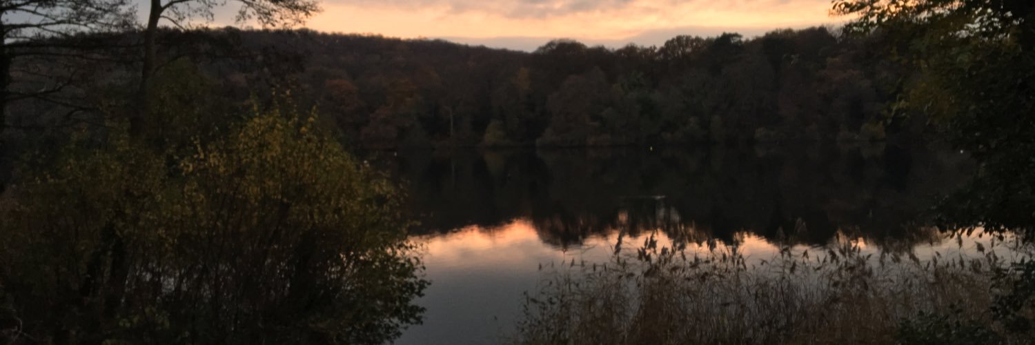 ja_dingle's profile banner image