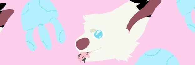 silichi banner