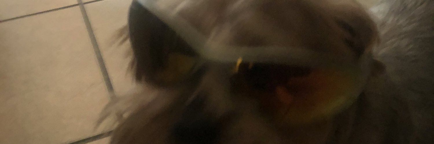 ya boy's banner