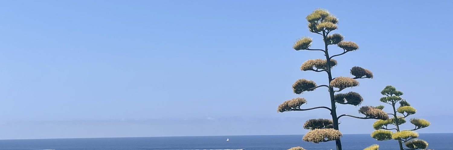 milothecat31's profile banner image