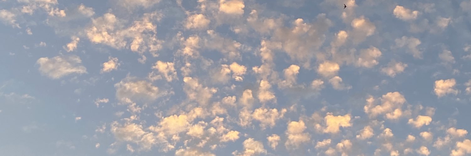 cybermathwitch's profile banner image