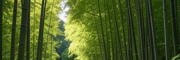 cryptoken_rwa Profile Banner